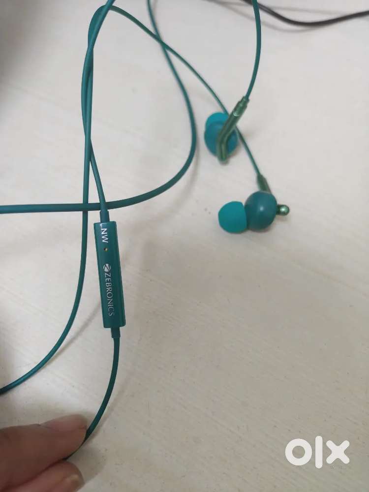 Zebronics Earphones
