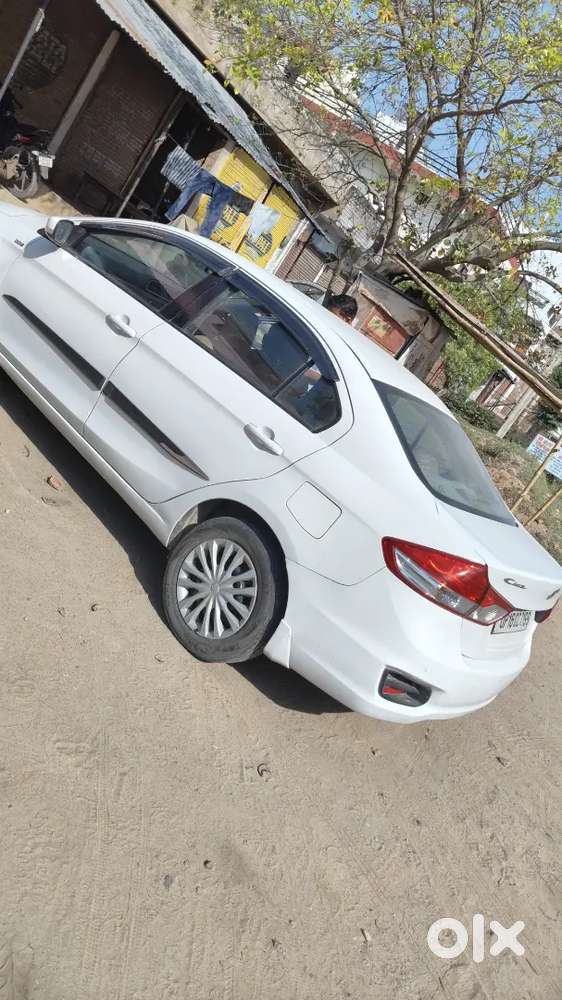Maruti Suzuki Ciaz