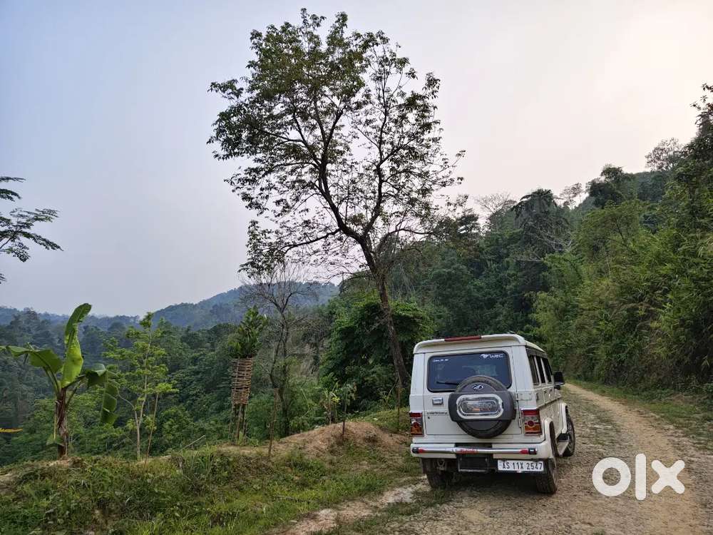 Mahindra Bolero Power 2019 Diesel