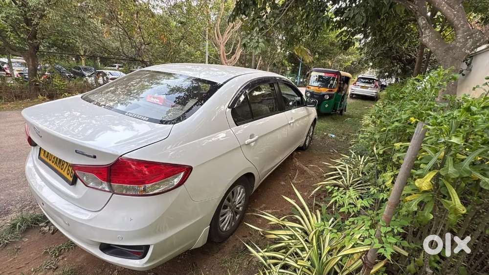 Maruti Suzuki Ciaz 2024 Yellow Board