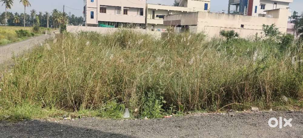 Site for sale in Palakollu And Stall for rent in kakinada - Lands ...
