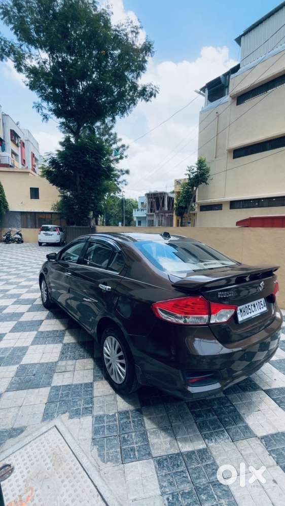 Maruti Suzuki Ciaz 2015 Model Diesel