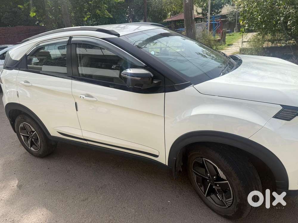 Tata Petrol Car 2024