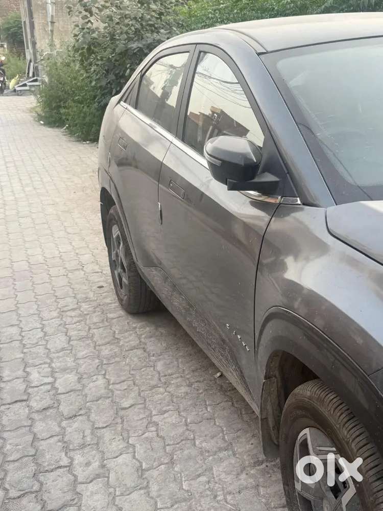 Tata Curvv 2024 Petrol Well Maintained