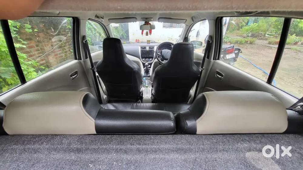 Selero New Condition