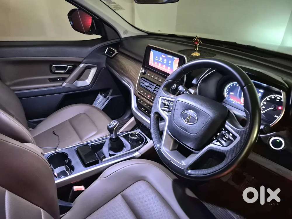 Doctor's  Harrier 2020