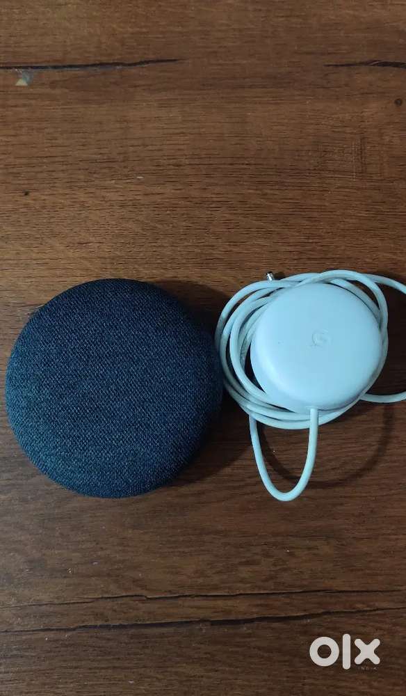 Google nest AI speaker