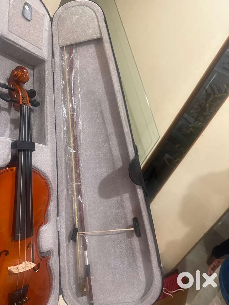 Dolphin Violin