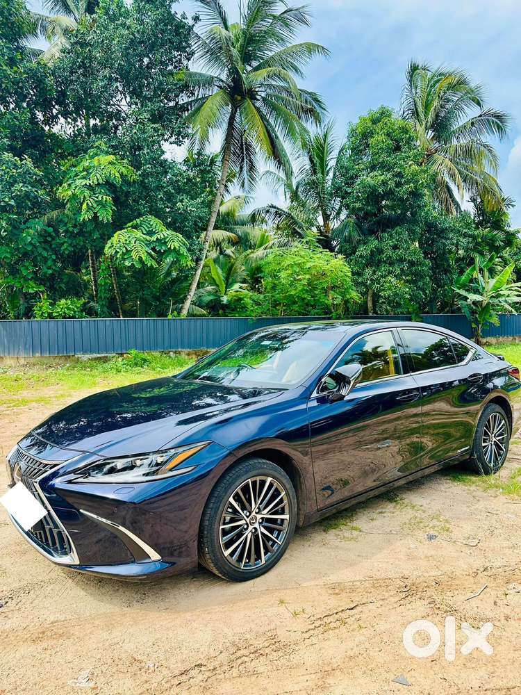 Lexus Es 300h, 2022, Petrol