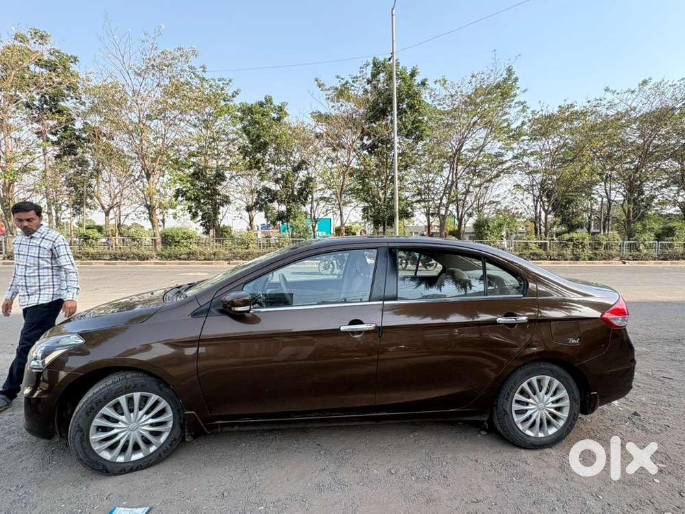 Ciaz Brown Colour 2017-2018 Delta Manual