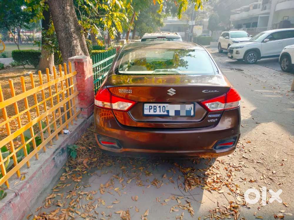 Maruti Suzuki Ciaz 2016 Diesel Well Maintained