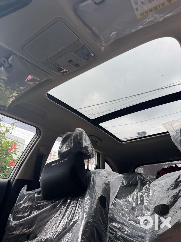 Kia Seltos 2025 Petrol Well Maintained
