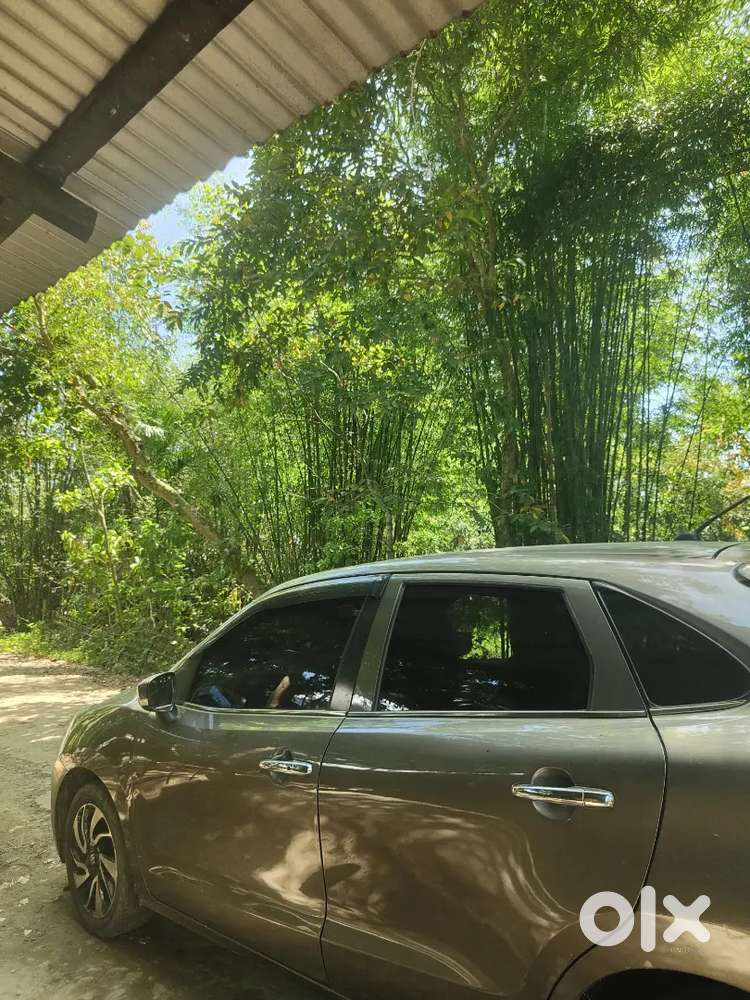 Maruti Baleno Alpha 2021