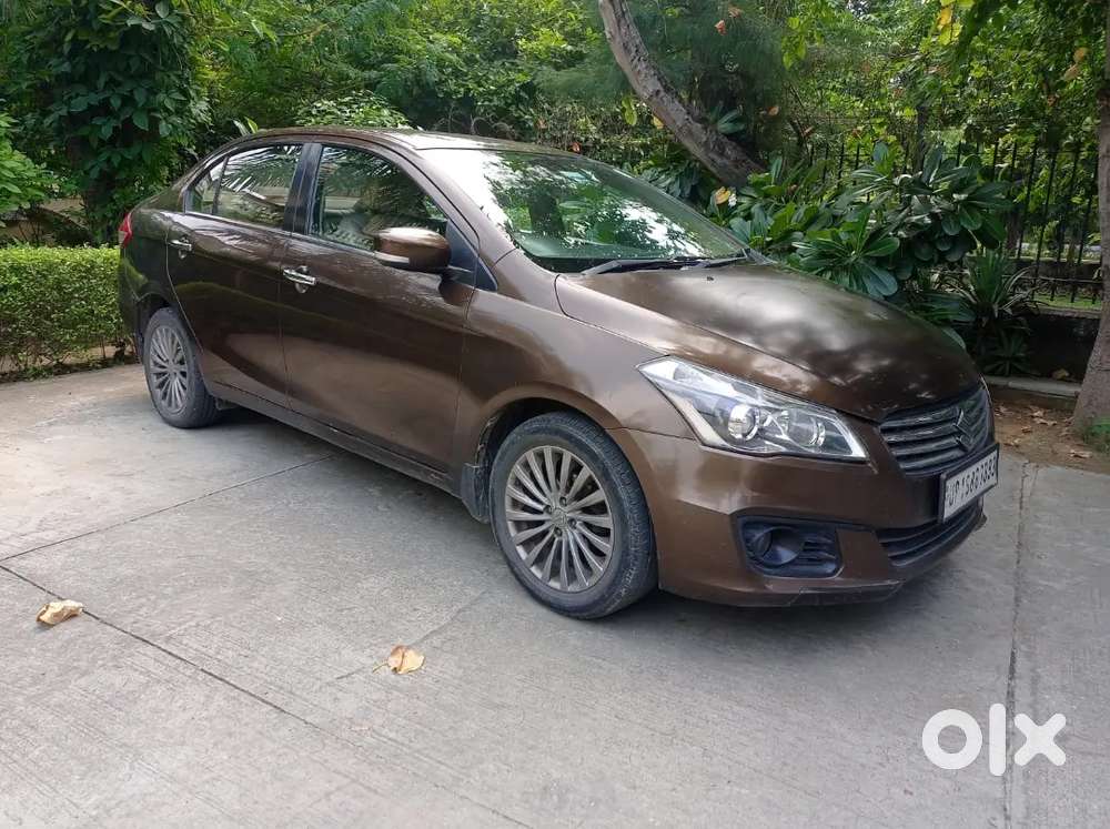 2015 Maruti Ciaz Zxi 1.4 Manual Petrol