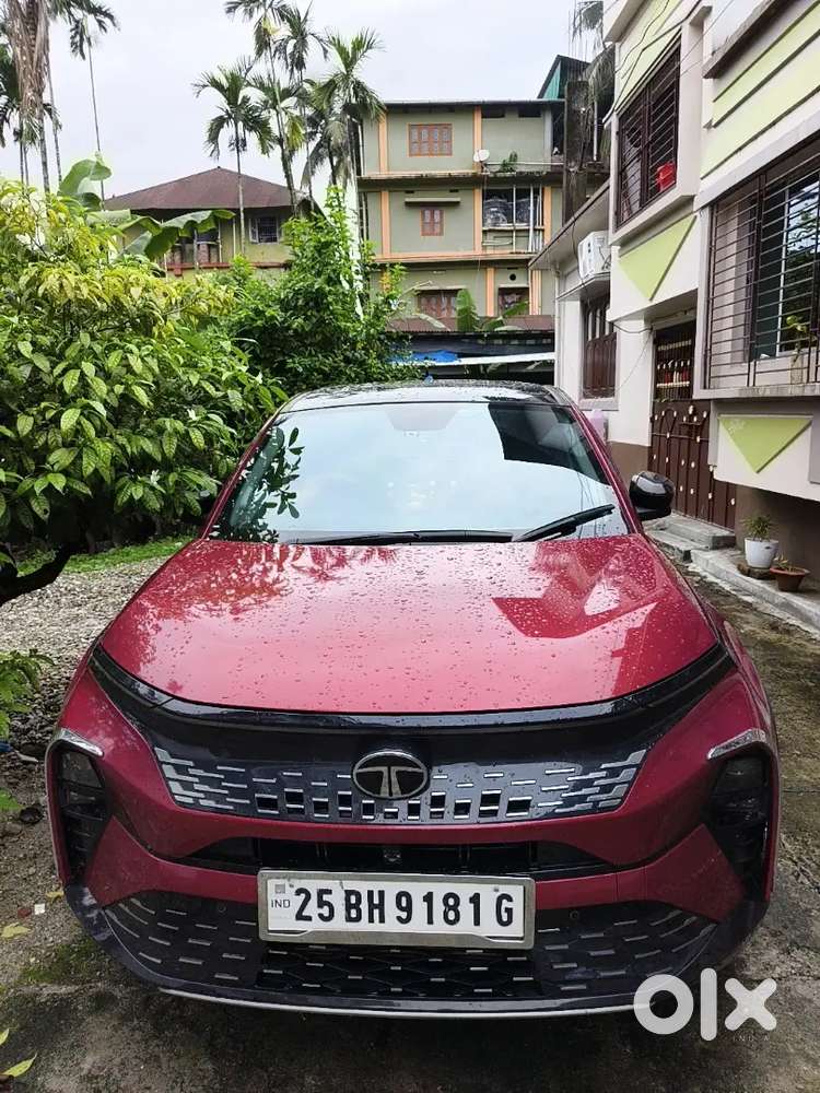 Tata Curvv Creative Plus S Petrol 2025 First-owner
