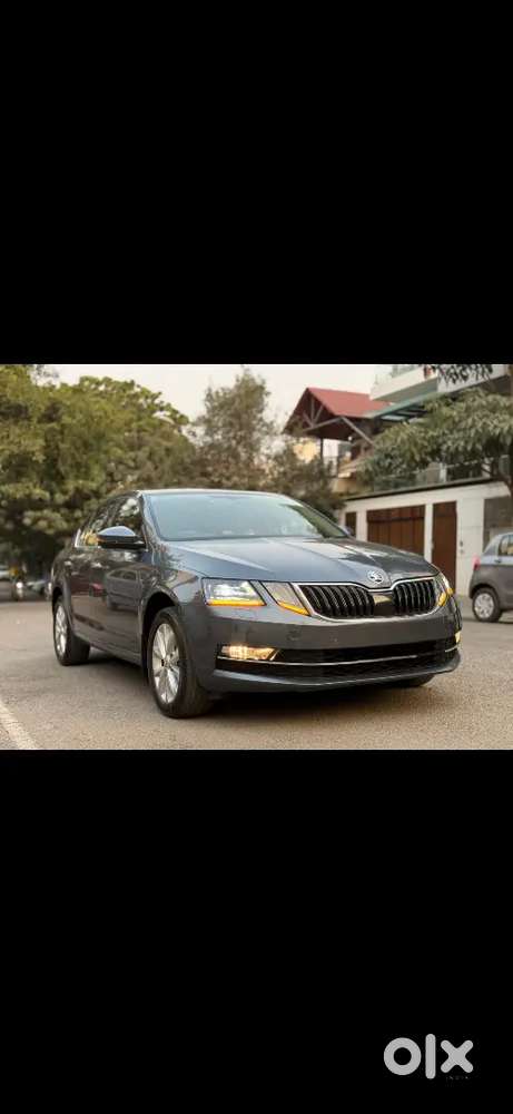 Skoda Octavia 2019 Diesel Well Maintained