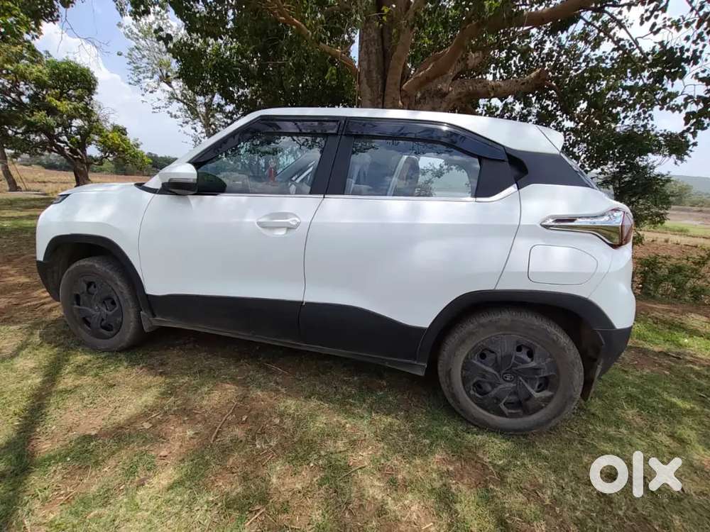 Tata Punch 2024 Petrol 16860 Km Driven