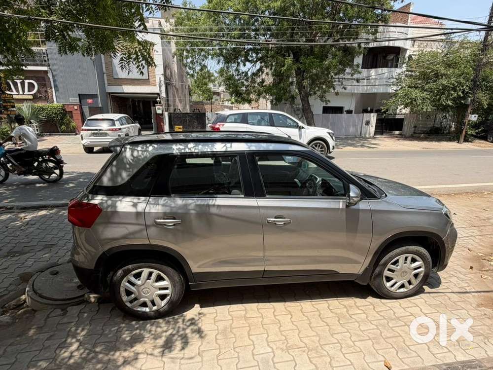 Maruti Suzuki 2022 Model Year