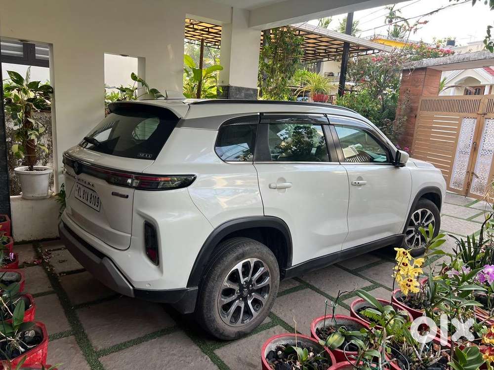Maruti Suzuki Grand Vitara 2023 Petrol Well Maintained