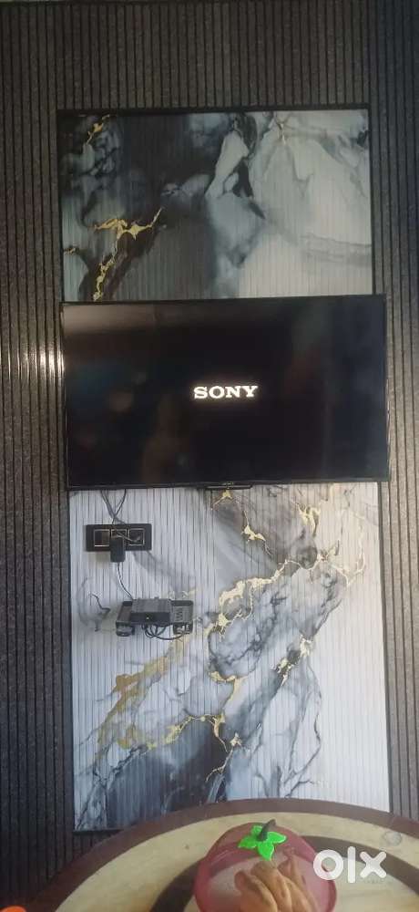 Sony braviya 50 inch tv