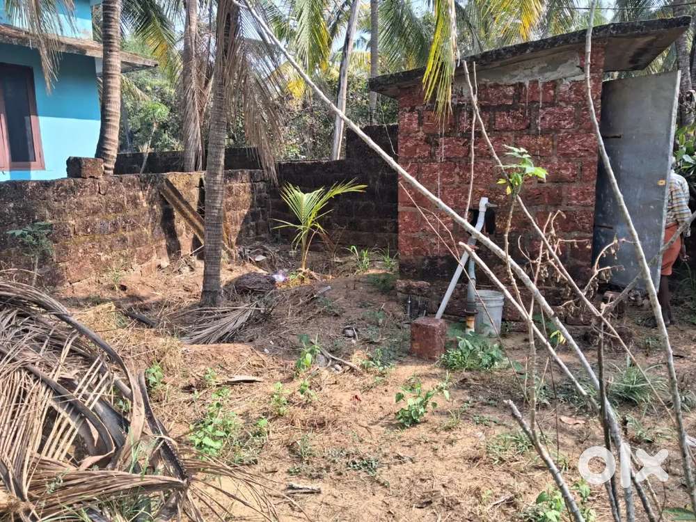 Land for rent at kanichira roadside