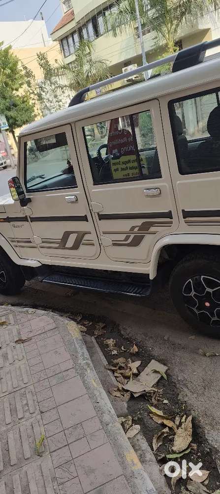 Bolero For Sale.