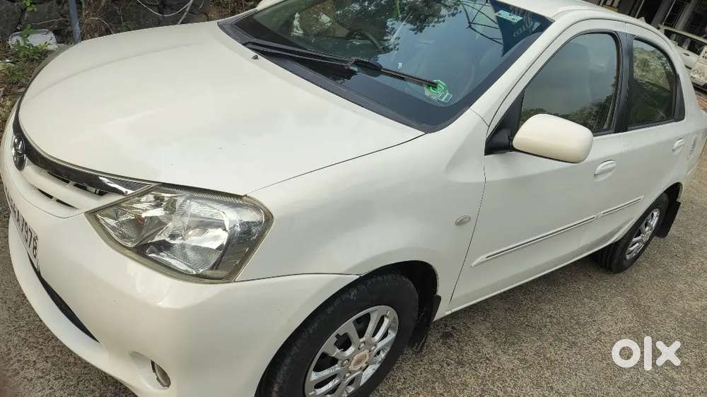 All Company Service Done