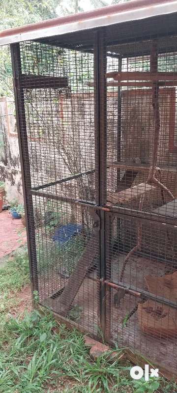 Animal cage clearance sale