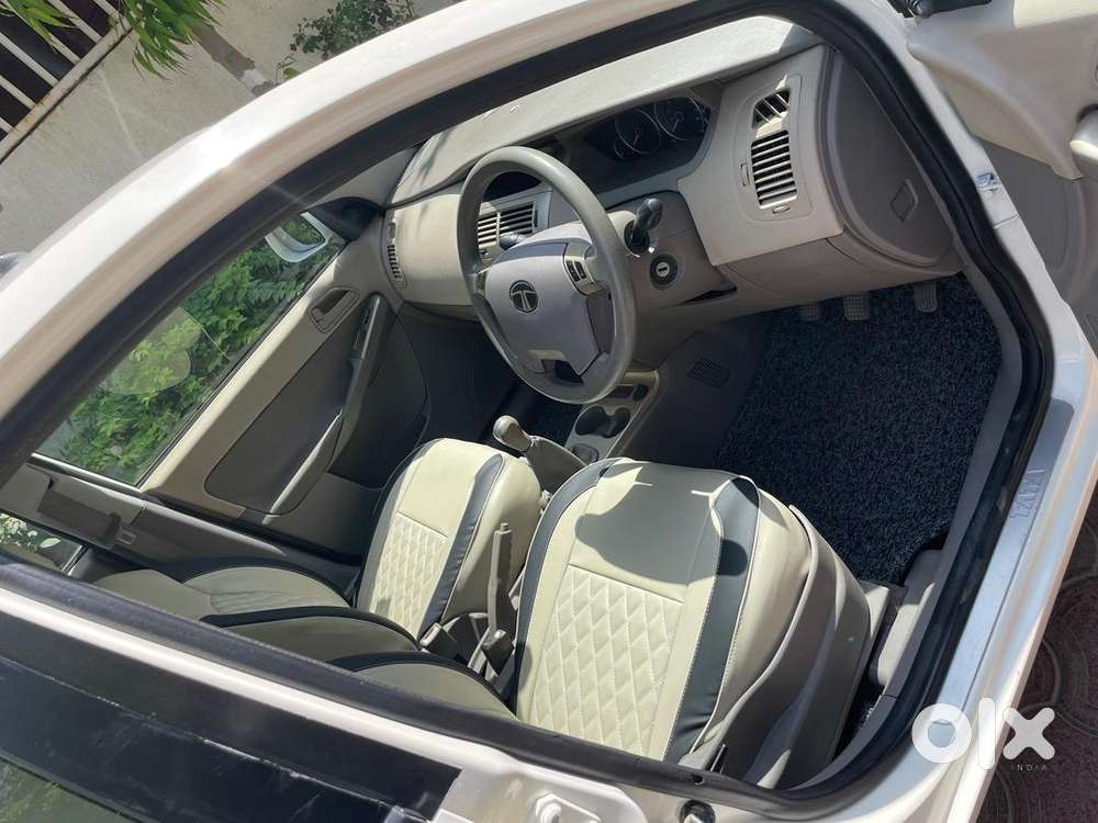 Tata Petrol Car 2010