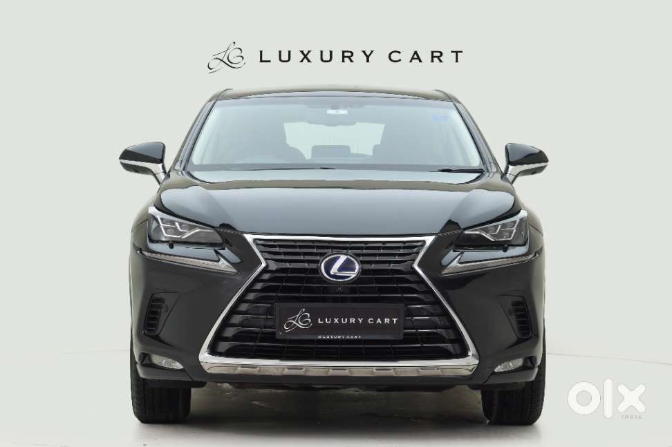 Lexus Nx Lexus-nx-300h-luxury, 2018, Petrol