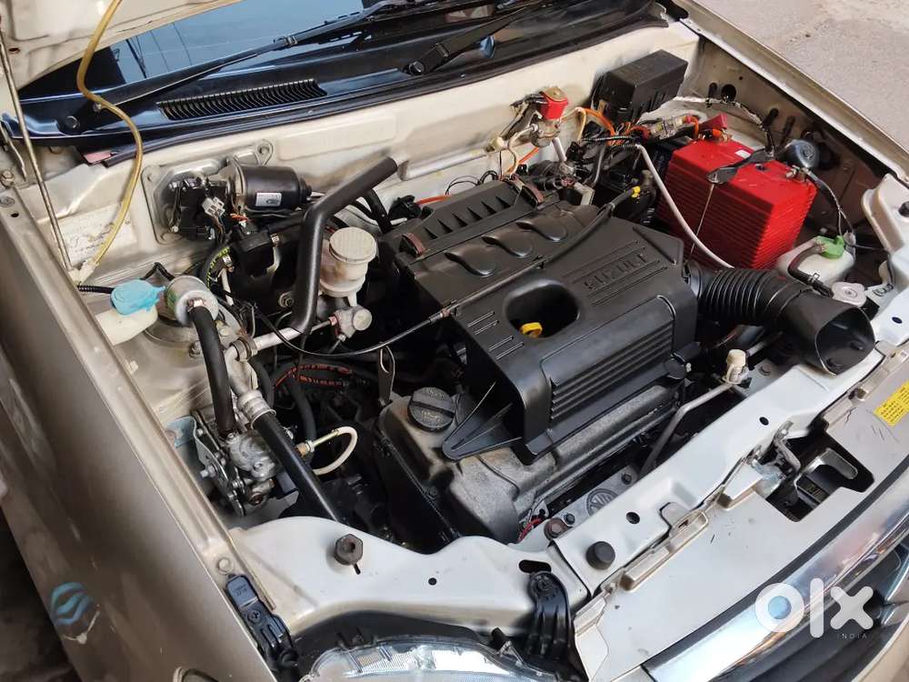 Brand New Condition Paper Valid 2032