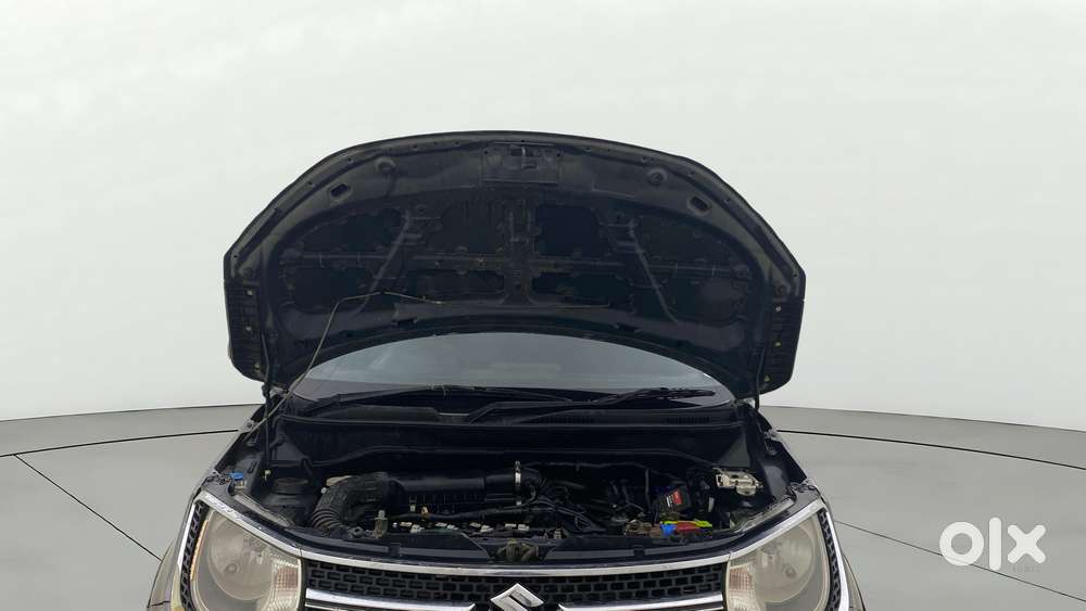 Maruti Suzuki Ignis 1.2 Amt Zeta, 2017, Cng & Hybrids