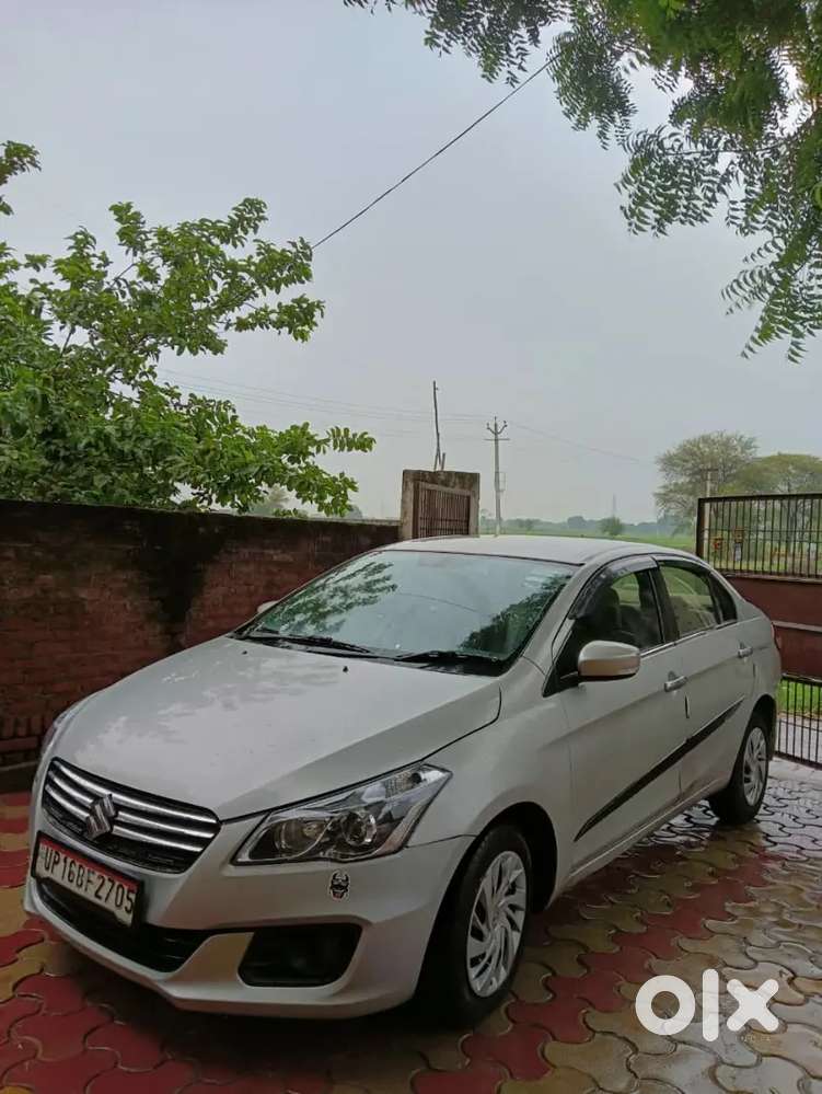 Maruti Suzuki Ciaz 2016 Year