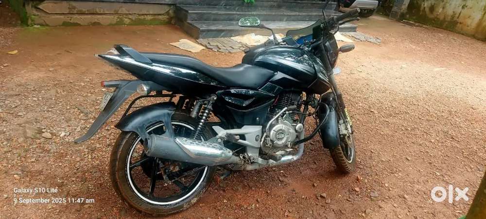 Malappuram 2013 Model Pulsar 150 Olx Bajaj Pulsar 150 2017 For
