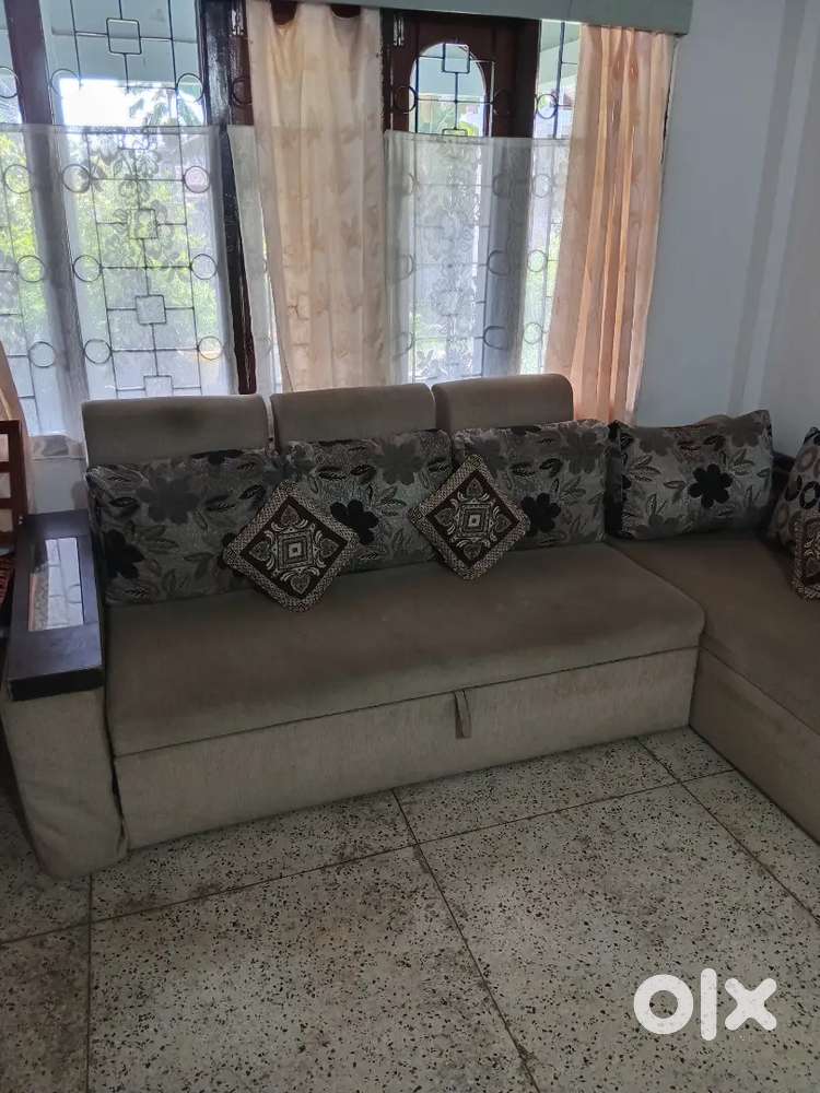 Sofa cum Bed & Sit-In (with box storage)