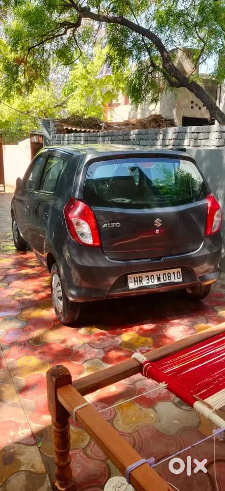 Maruti Suzuki Alto 800 2021 Petrol 24000 Km Driven