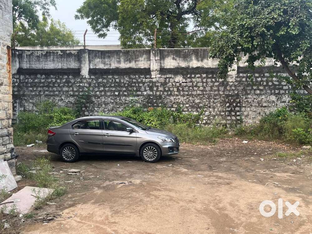 Maruti Suzuki Ciaz 2016 Zdi + Top Model