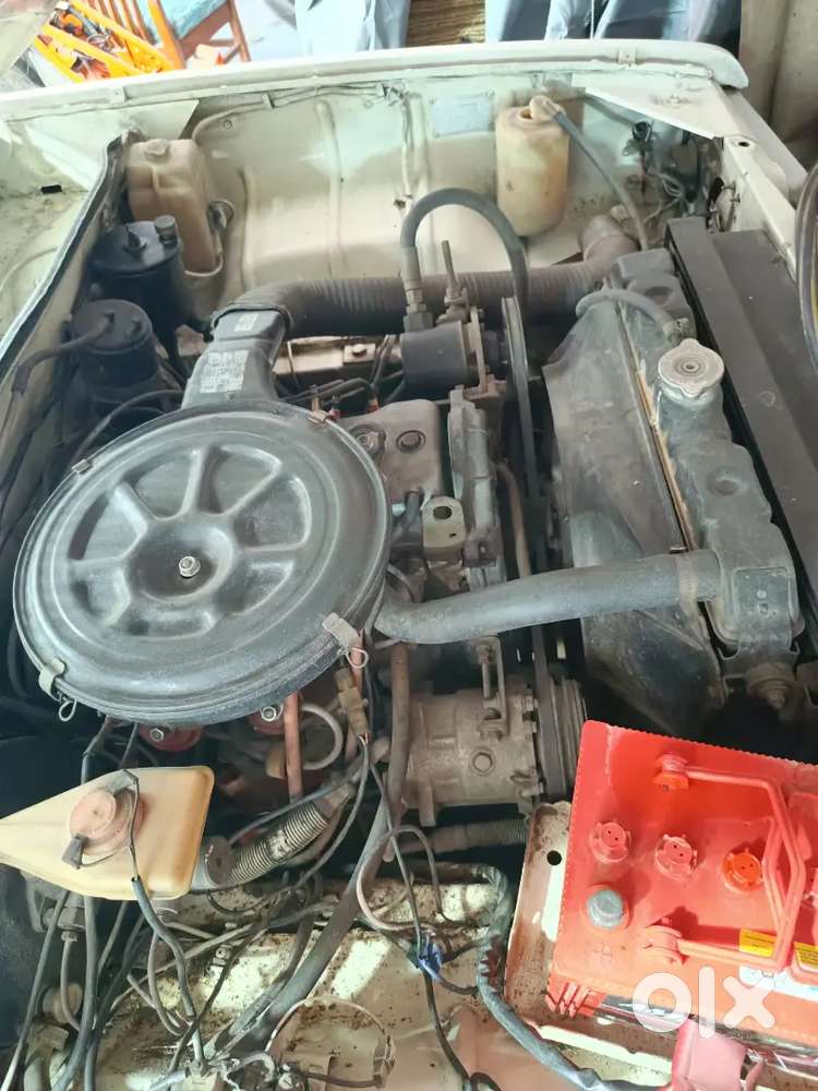 Contessa For Sale - Petrol