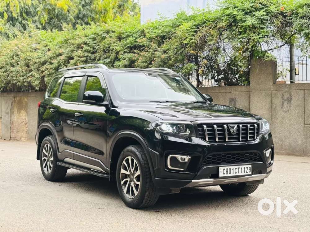 Mahindra Scorpio-n 2.0 Z8 L Petrol Mt 7 Str, 2024, Petrol