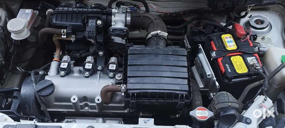 Alto 800 2022 Petrol 45000 Km Driven Jk03 M Registration, Cash Deal