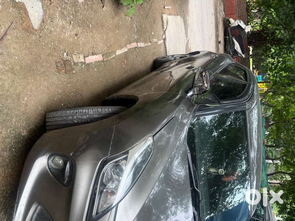 Baleno Colour