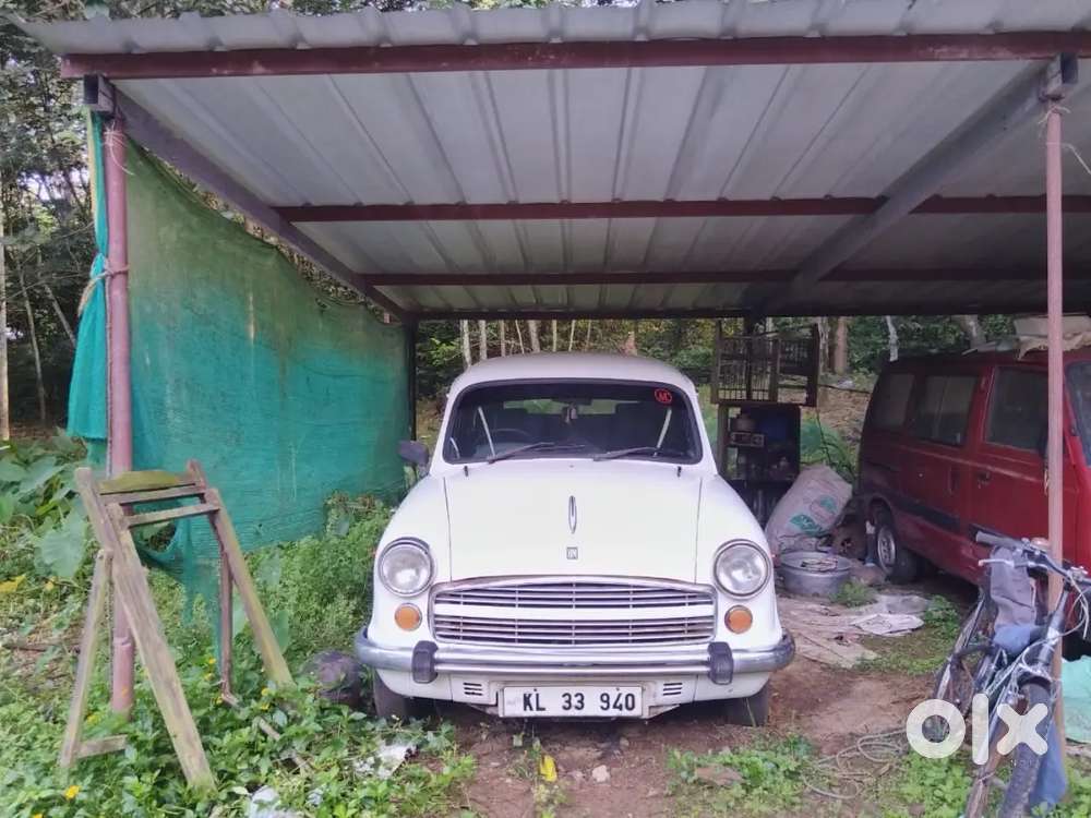 2006 Model Ambassador