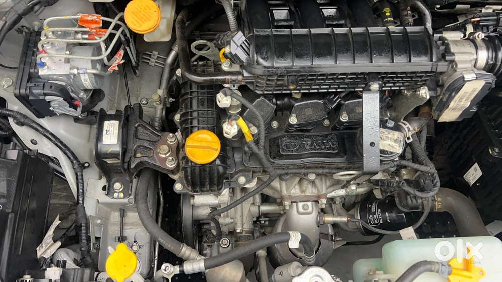 Tata Altroz Xm Plus Petrol, 2025, Petrol