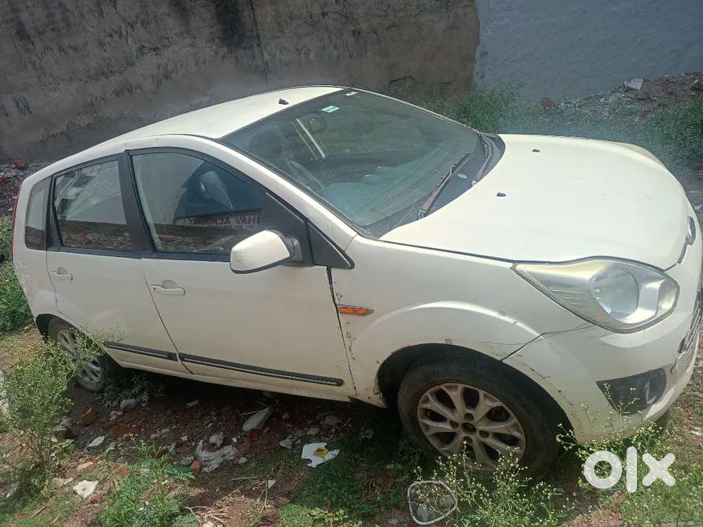 Arjent Sale Figo
