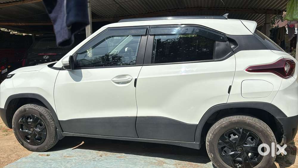 5 Months Old Cng Punch