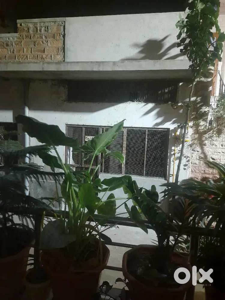 Corner House near Ratanada Police Line Main Rd For Sale Houses