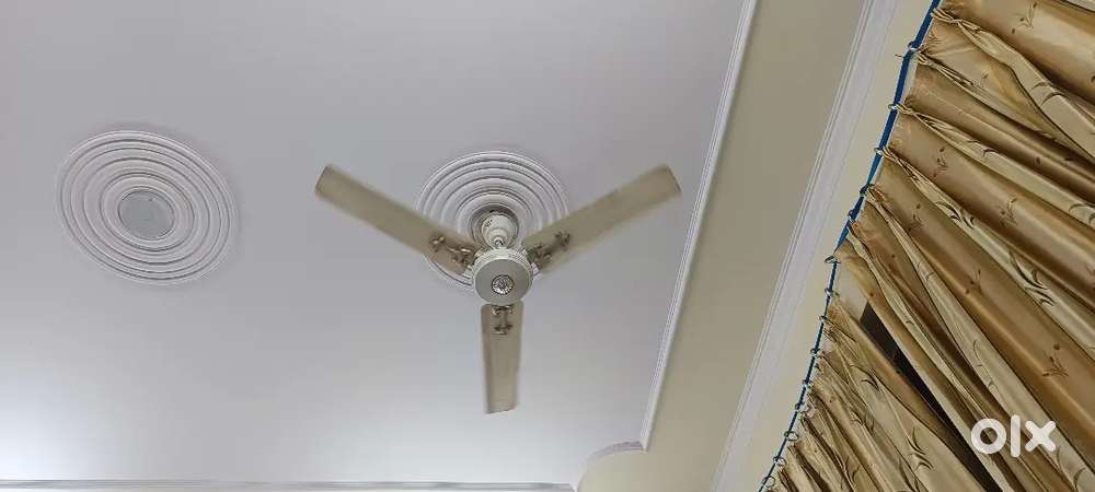 Orient PSPO Ceiling Fans - 2 Nos. - ₹600 each - ₹1000 for both
