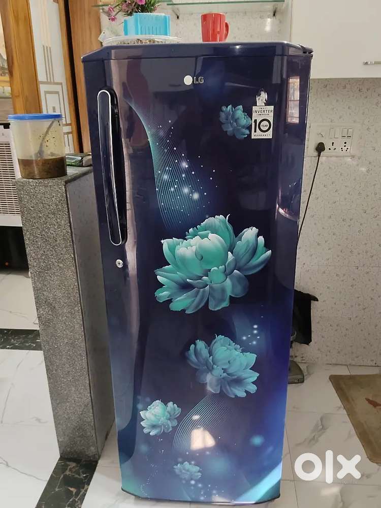 Lg refrigerater fridge