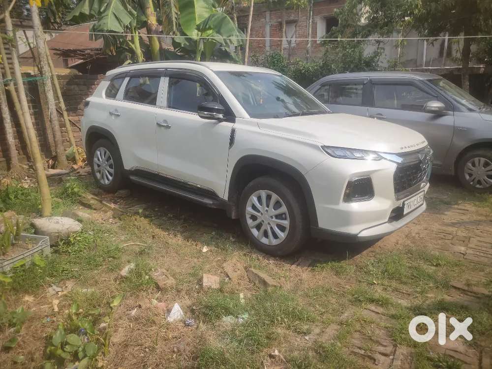 Maruti Suzuki Grand Vitara Smart Hybrid