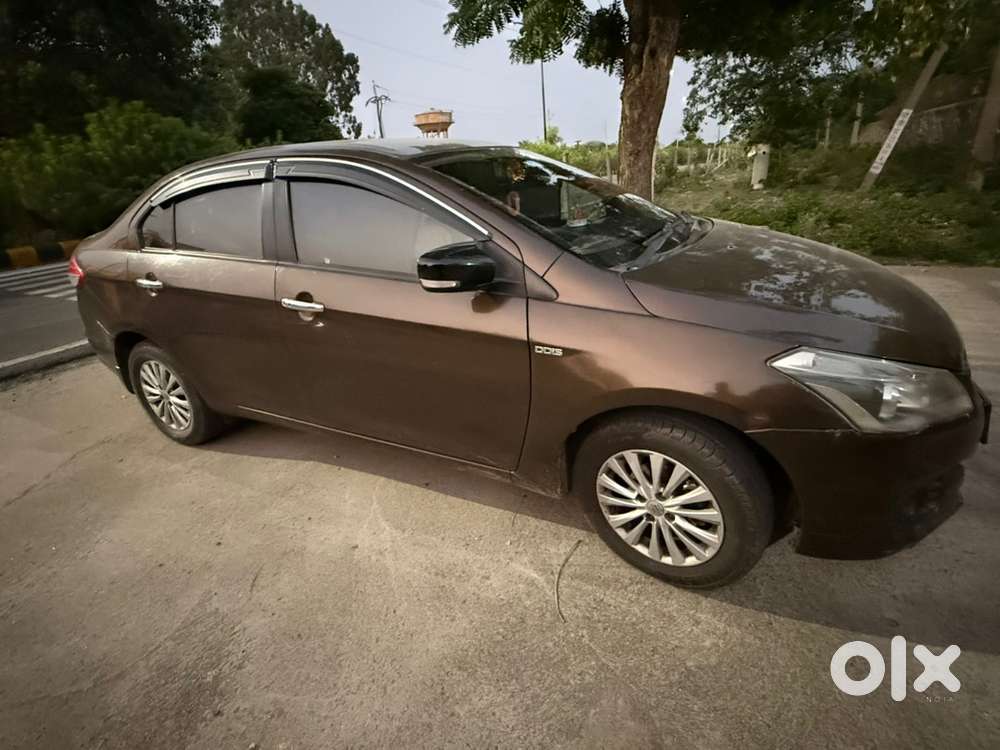 Ciaz Diesel Maruti 4th 2016